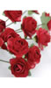 click to see more