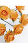 click to see more