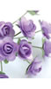 click to see more