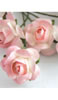 click to see more