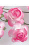 click to see more