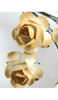 click to see more
