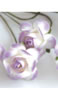 click to see more