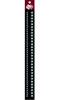 click to see more